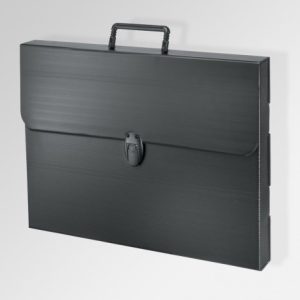 Artwork Case Polylite with Lock