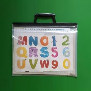 Transparent Carry-All Project Bag